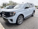 New 2025 Ford Expedition Active image 3