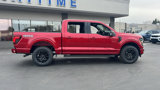 New 2025 Ford F150 XLT w/ Equipment Group 302A MID image 4