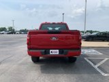 New 2025 Ford F150 STX w/ STX Black Appearance Package image 6