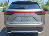 Used 2024 Lexus NX 350 F Sport image 5