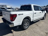 New 2025 Ford F150 XLT image 5