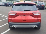 Used 2020 Ford Escape SEL image 4