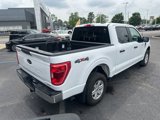 Used 2023 Ford F150 XLT image 4