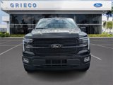 New 2025 Ford F150 Platinum w/ Equipment Group 702A High image 3