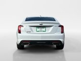 Used 2024 Cadillac CT5 Premium Luxury w/ Climate Package image 4