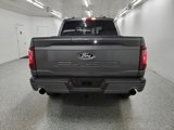 New 2025 Ford F150 XLT w/ Equipment Group 302A MID image 5