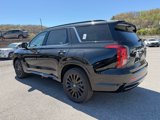New 2025 Hyundai Palisade Calligraphy image 4