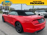 Used 2022 Ford Mustang Premium image 4