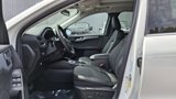 New 2025 Ford Escape SE w/ PHEV Premium Package image 6