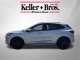 Used 2023 Ford Escape ST-Line Elite w/ Premium Technology Package image 4
