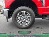 New 2025 Ford F250 XLT image 5