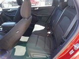 New 2025 Ford Escape Active w/ Active Premium Tech Pack image 5