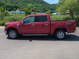 Used 2025 Ford F150 XLT w/ Equipment Group 302A MID image 2