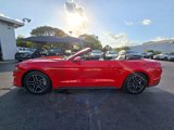 Used 2020 Ford Mustang Premium image 4