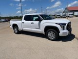 New 2025 Toyota Tundra SR5 image 6