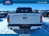 New 2025 Ford F150 XLT w/ Equipment Group 302A MID image 5