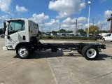 New 2025 Chevrolet Low Cab Forward image 5