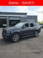 New 2025 Ford Expedition Active image 2