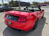 Used 2019 Ford Mustang Premium image 4