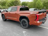 New 2025 Toyota Tundra Platinum image 5