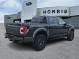 Used 2022 Ford F150 Raptor w/ Raptor 37 Performance Package image 4