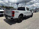 New 2025 Ford F250 XLT w/ Black Appearance Package image 3