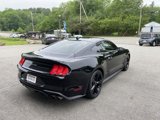 Used 2023 Ford Mustang GT w/ Equipment Group 301A image 5
