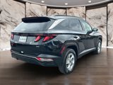 Used 2024 Hyundai Tucson SEL image 5