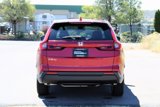 New 2025 Honda CR-V EX image 5