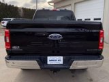 Used 2023 Ford F150 XLT w/ Equipment Group 301A Mid image 6