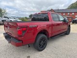 New 2025 Ford F150 XLT image 5
