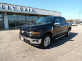 New 2025 Ford F150 XLT w/ Equipment Group 302A MID image 3