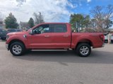 New 2025 Ford F150 XLT w/ Equipment Group 302A MID image 4