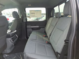 New 2025 Ford F150 XLT w/ Equipment Group 302A MID image 6