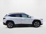 Used 2024 Hyundai Tucson Limited image 4