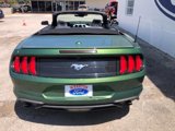 Certified 2023 Ford Mustang Premium image 4