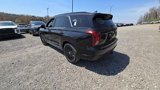 New 2025 Hyundai Palisade Calligraphy image 4