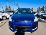 Used 2013 Ford Escape SEL image 2
