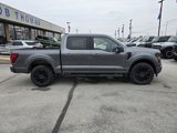 New 2025 Ford F150 XLT w/ Equipment Group 303A High image 2