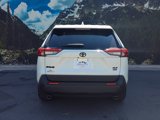 Certified 2022 Toyota RAV4 XLE Premium image 5