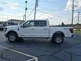 New 2025 Ford F150 XLT w/ Equipment Group 302A MID image 4