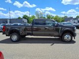 Used 2025 Ford F450 4x4 Crew Cab Super Duty image 6
