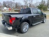 New 2025 Ford F150 XLT w/ Equipment Group 302A MID image 5