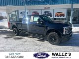 New 2025 Ford F250 XL w/ STX Appearance Package image 2