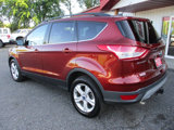 Used 2014 Ford Escape SE w/ Equipment Group 201A image 5
