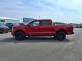 New 2025 Ford F150 XLT image 2