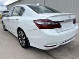 Used 2017 Honda Accord EX-L image 3
