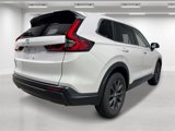 New 2026 Honda CR-V EX-L image 6