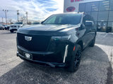 Used 2022 Cadillac Escalade ESV Sport Platinum w/ Heavy-Duty Trailer Package image 3