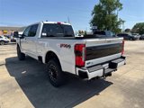 New 2025 Ford F250 Platinum image 3